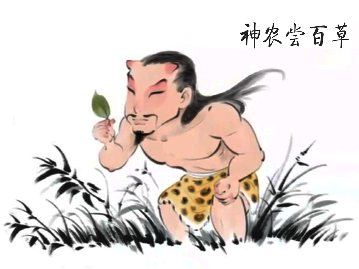 神農(nóng)嘗百草的故事插畫