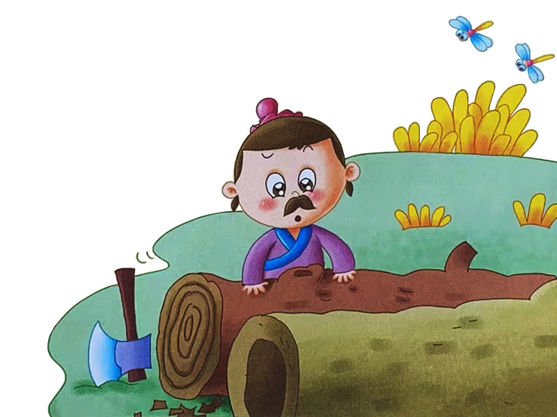 主人把兩棵樹砍了準(zhǔn)備蓋房子